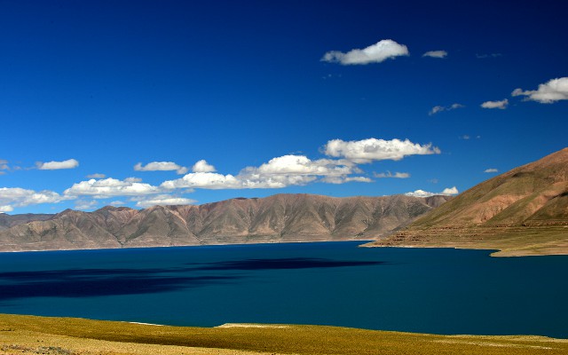 拼多多补单软件