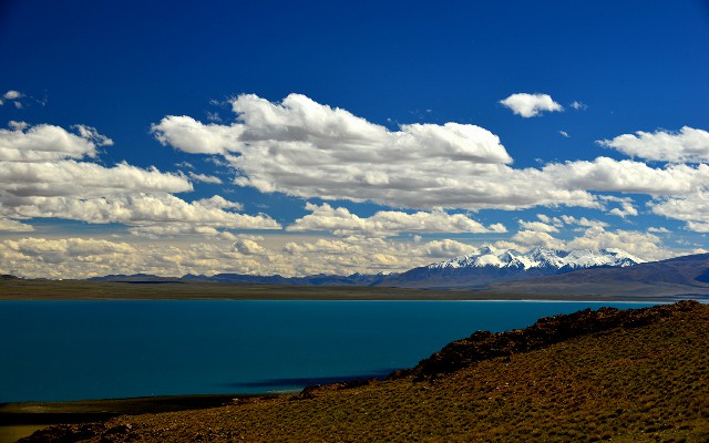 拼多多补单软件