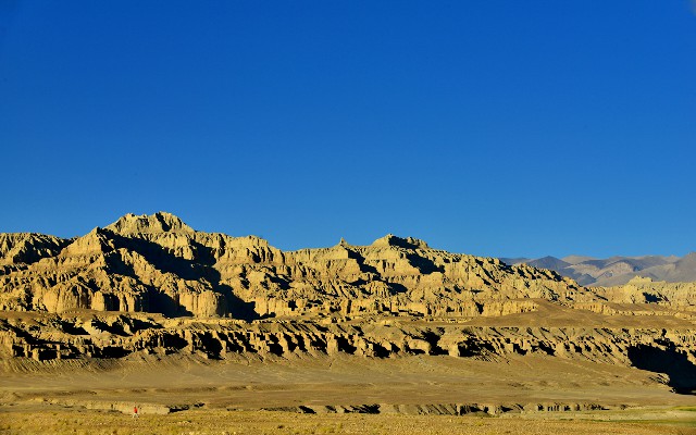 拼多多补单软件