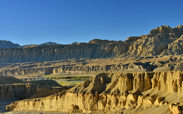 拼多多补单软件