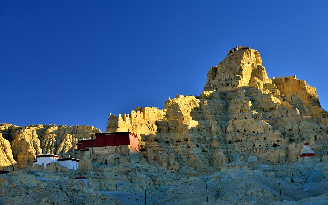 拼多多补单软件