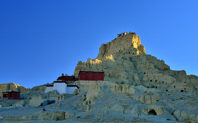 拼多多补单软件