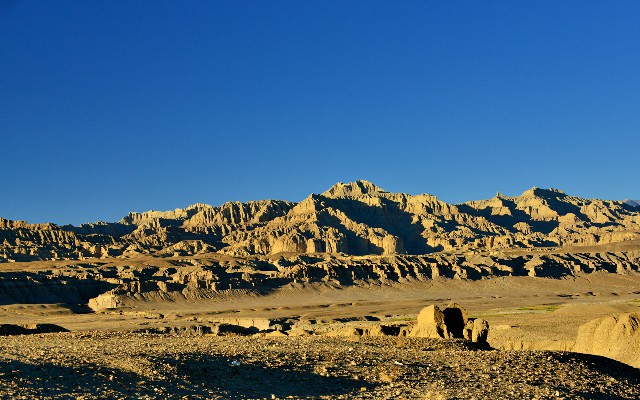 拼多多补单软件