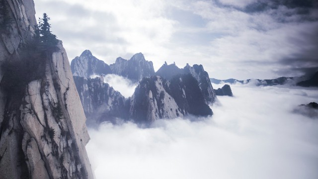 拼多多补单软件