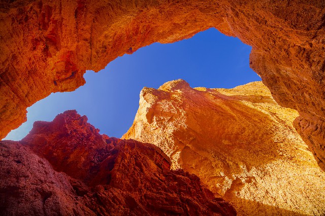 拼多多补单软件