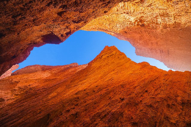 拼多多补单软件