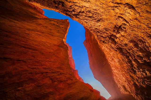 拼多多补单软件