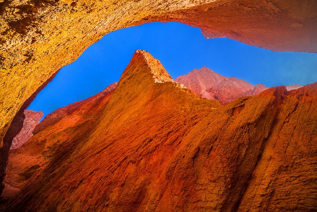 拼多多补单软件