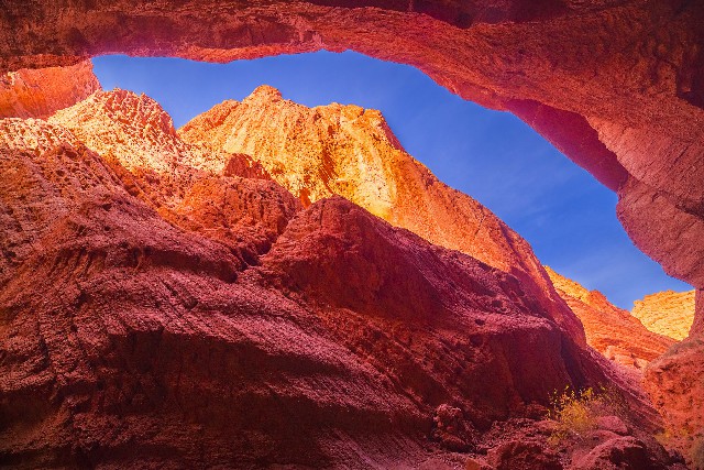 拼多多补单软件