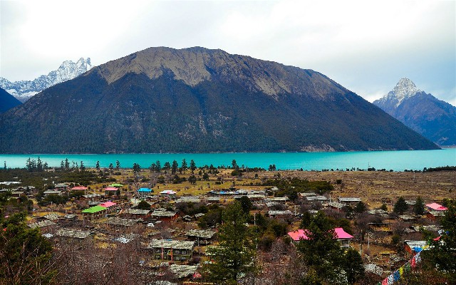 拼多多补单软件