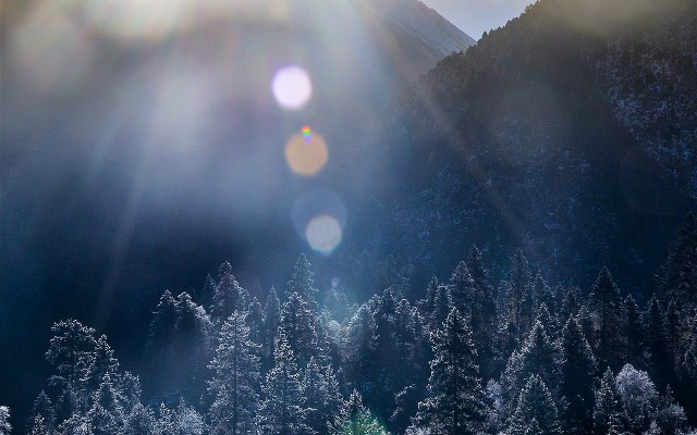 拼多多补单软件