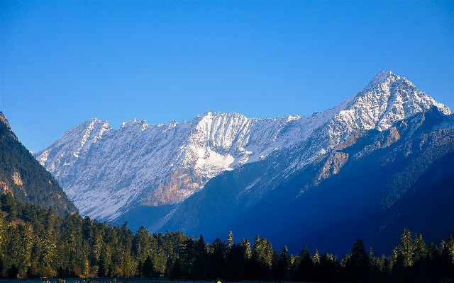 拼多多补单软件