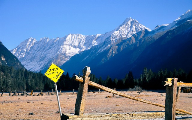 拼多多补单软件