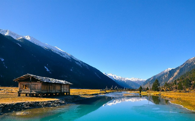 拼多多补单软件