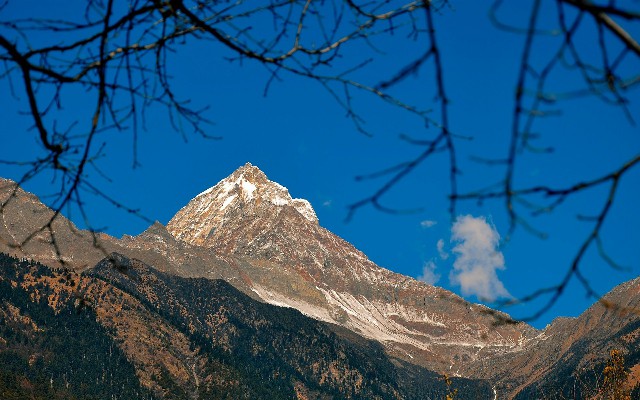 拼多多补单软件