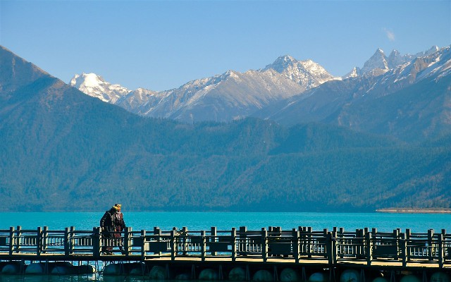 拼多多补单软件