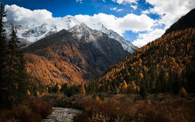 拼多多补单软件