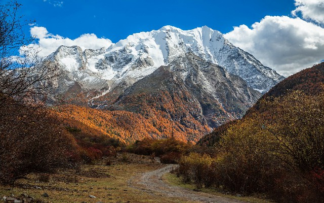 拼多多补单软件