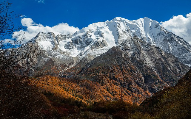 拼多多补单软件