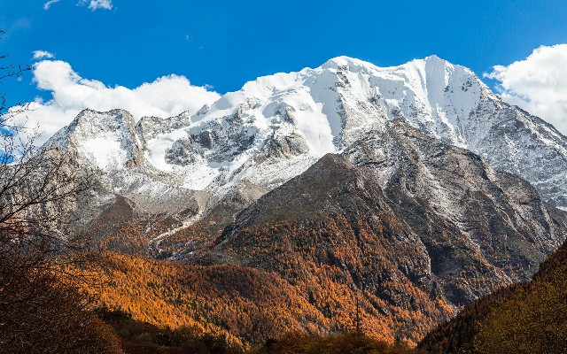 拼多多补单软件