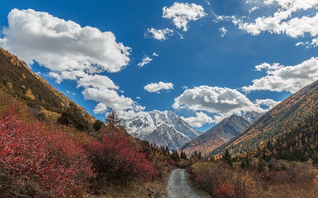 拼多多补单软件