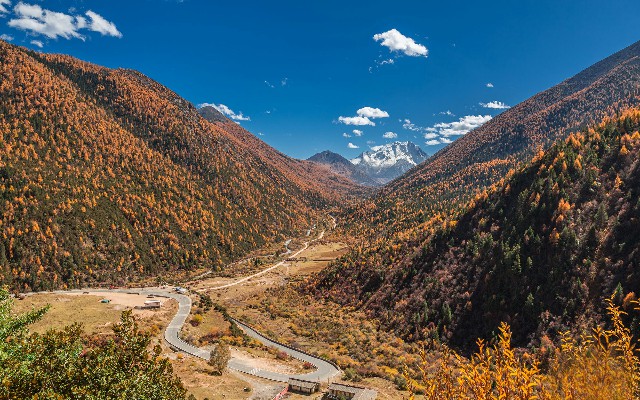 拼多多补单软件