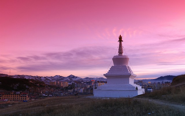 拼多多补单软件