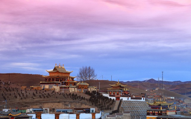 拼多多补单软件