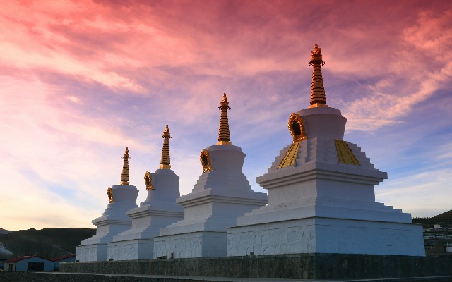 拼多多补单软件