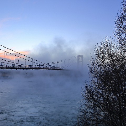 拼多多补单软件