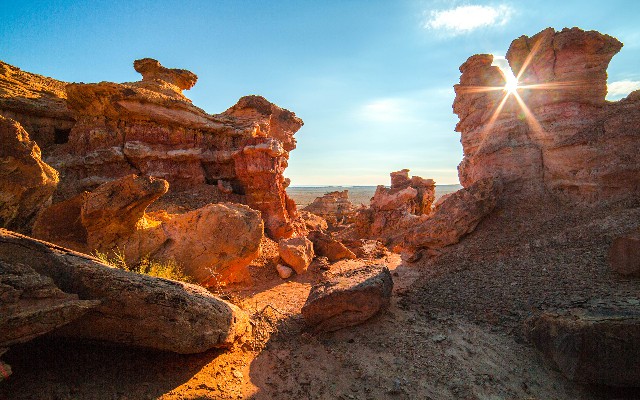 拼多多补单软件