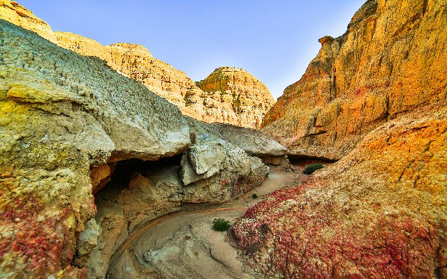 拼多多补单软件