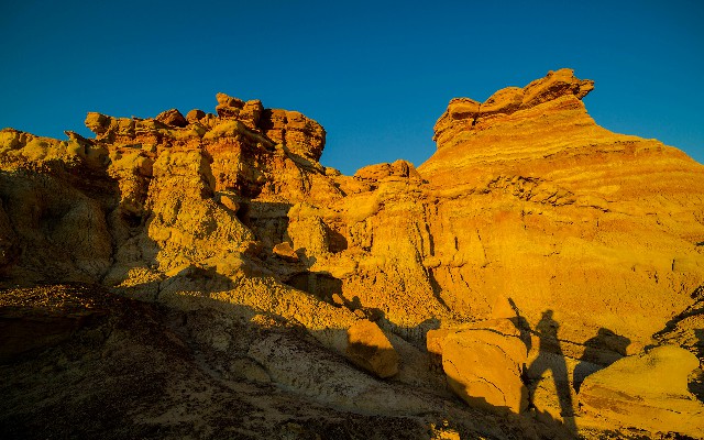 拼多多补单软件