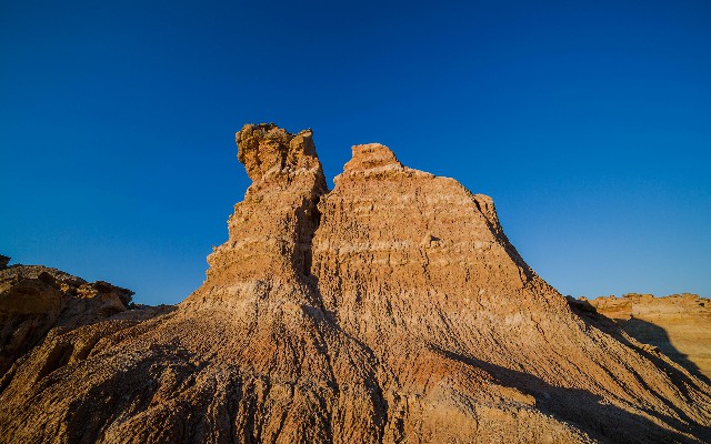 拼多多补单软件