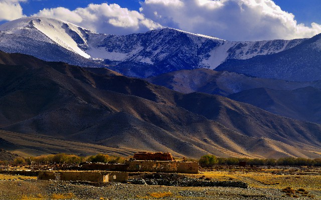 拼多多补单软件