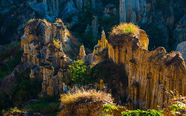 拼多多补单软件