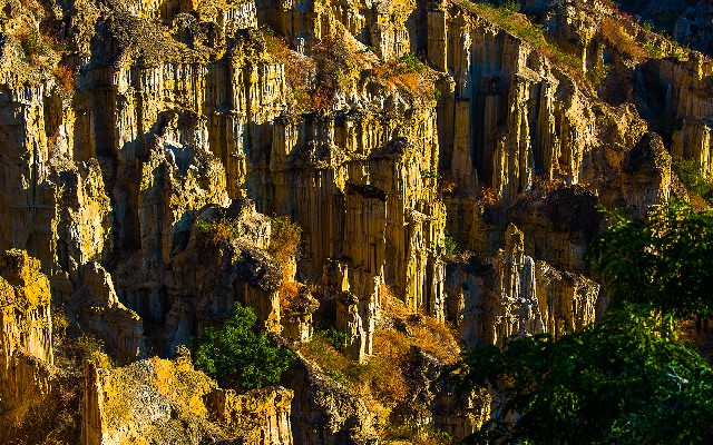 拼多多补单软件