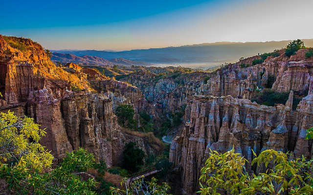 拼多多补单软件