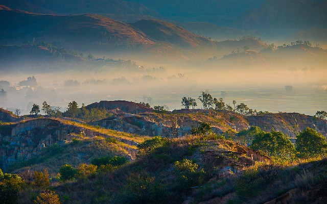 拼多多补单软件