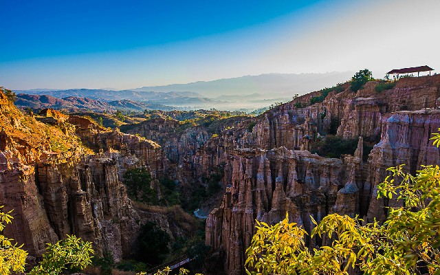 拼多多补单软件