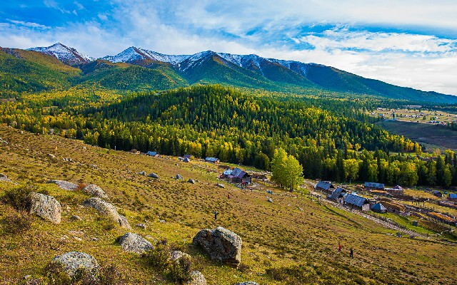 拼多多补单软件