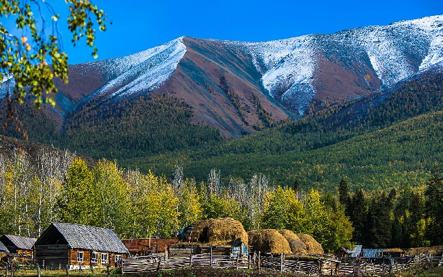 拼多多补单软件