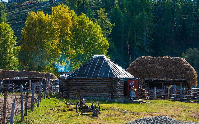 拼多多补单软件