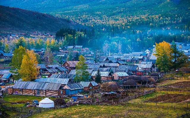 拼多多补单软件