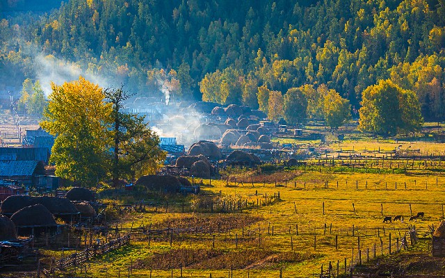 拼多多补单软件