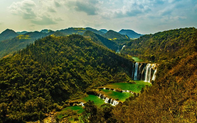 拼多多补单软件