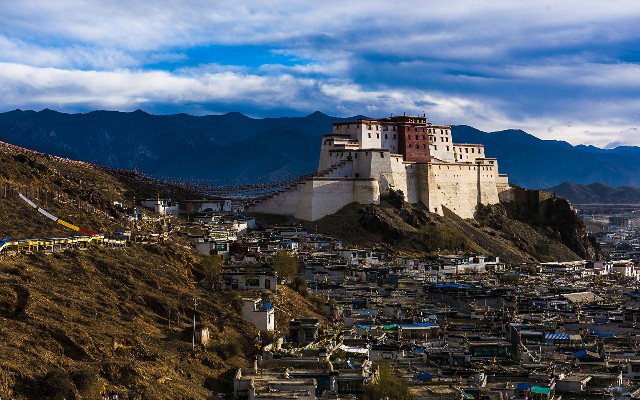 拼多多补单软件