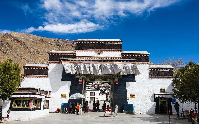 拼多多补单软件