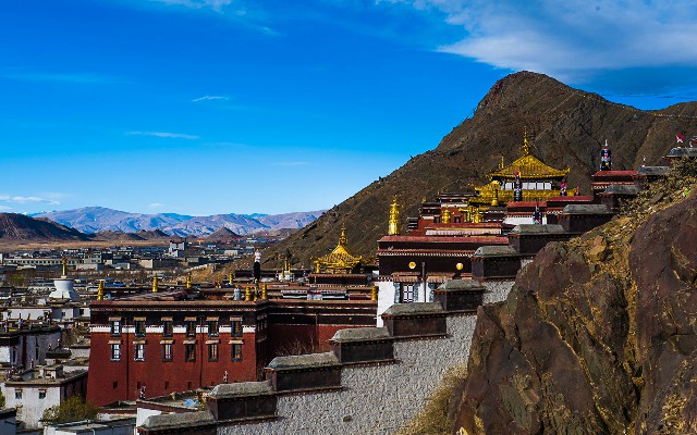 拼多多补单软件