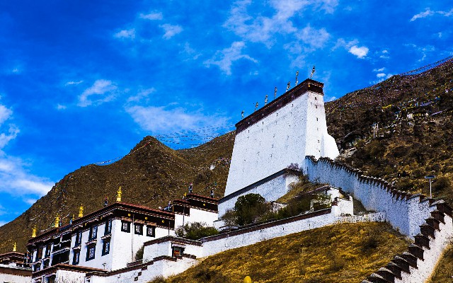 拼多多补单软件